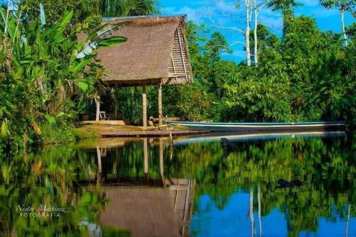 Misahualli Laguna Paikawe B&B Buitenkant foto