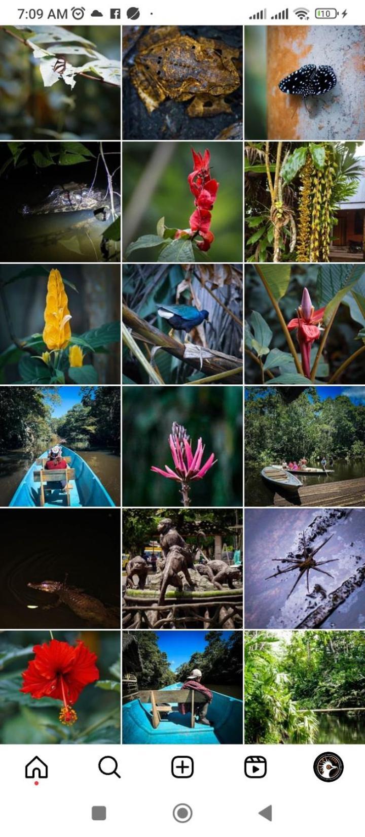 Misahualli Laguna Paikawe B&B Buitenkant foto