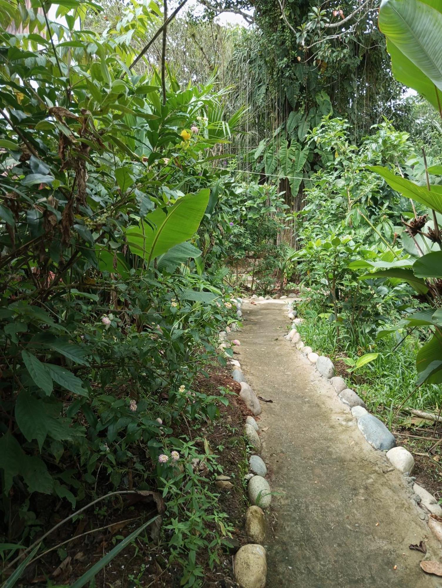 Misahualli Laguna Paikawe B&B Buitenkant foto