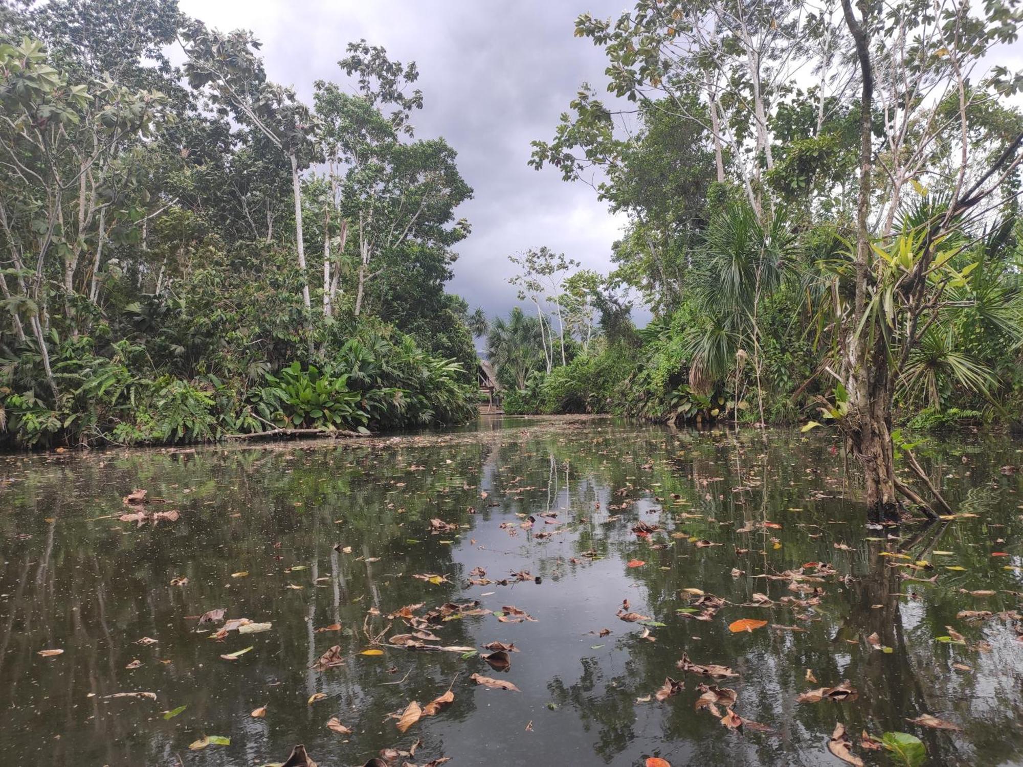 Misahualli Laguna Paikawe B&B Kamer foto