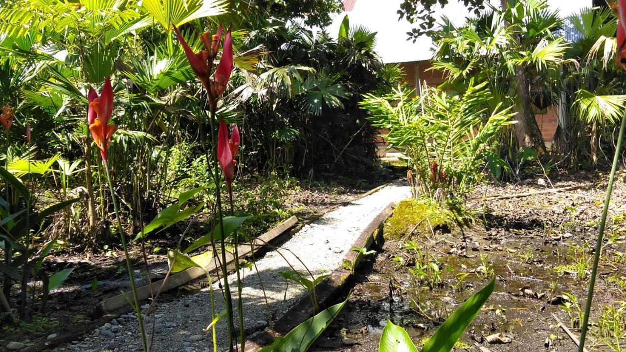 Misahualli Laguna Paikawe B&B Buitenkant foto