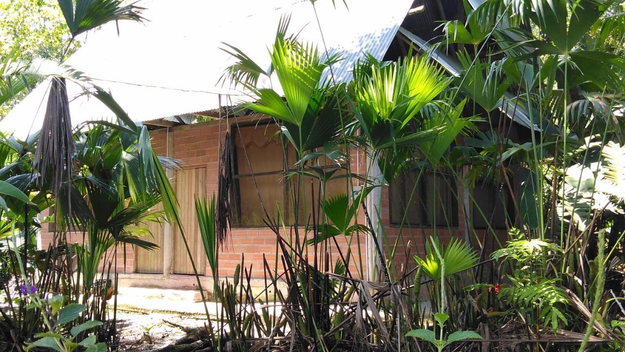 Misahualli Laguna Paikawe B&B Buitenkant foto