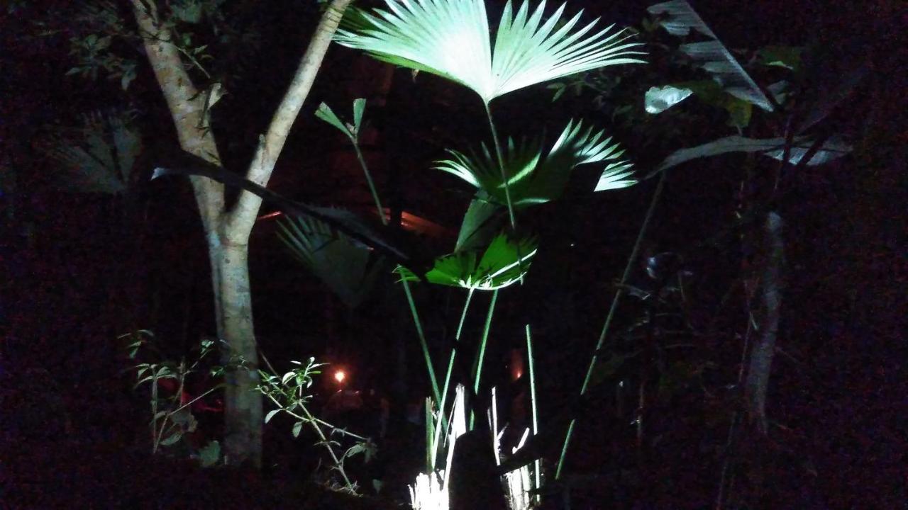Misahualli Laguna Paikawe B&B Buitenkant foto
